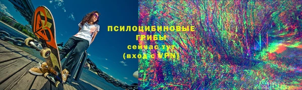 ГАЛЛЮЦИНОГЕННЫЕ ГРИБЫ Абинск