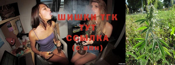 прущие грибы Новозыбков