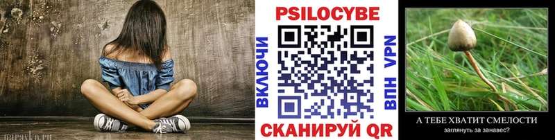 Псилоцибиновые грибы мицелий Новая Усмань